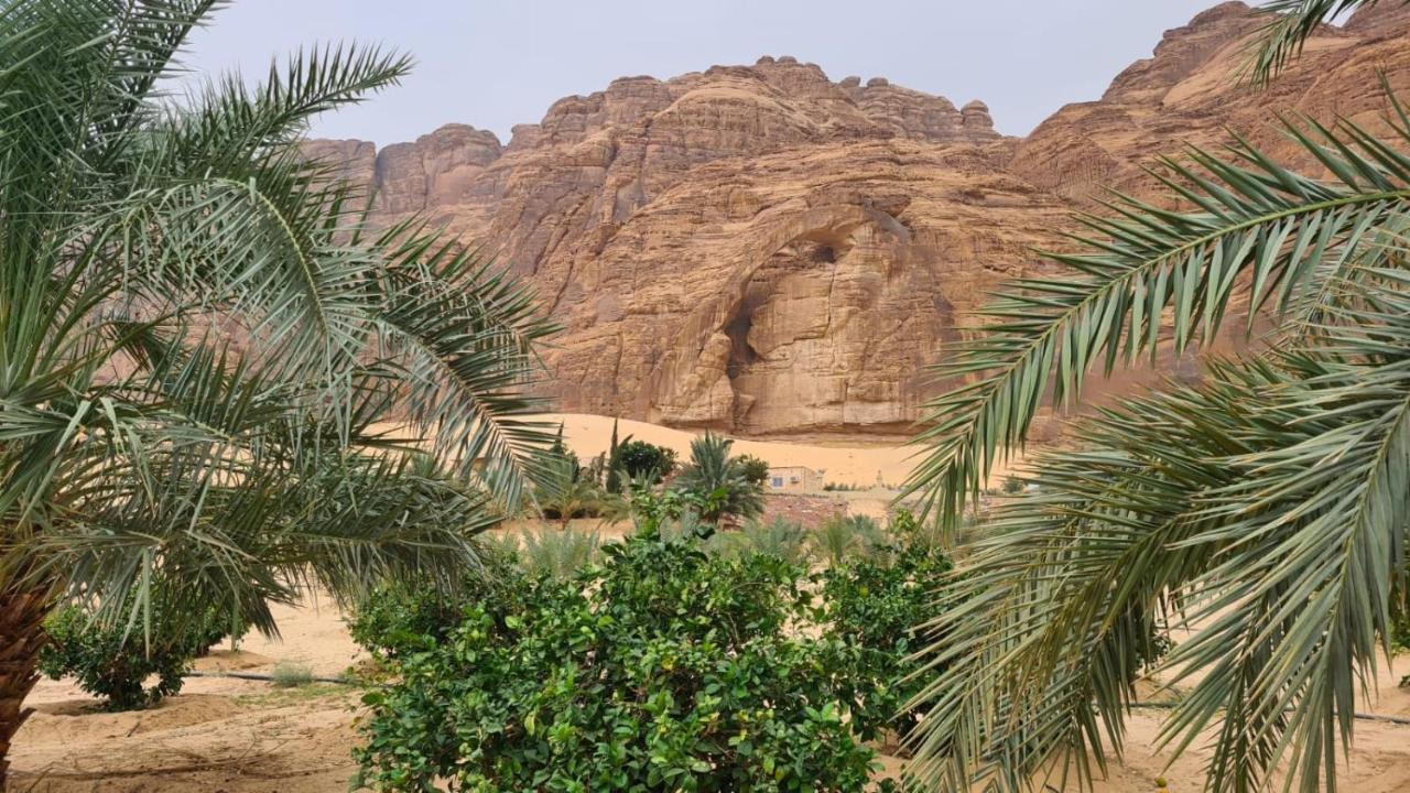 Vila الجوهرة Diamond Plus Al Ula Exteriér fotografie