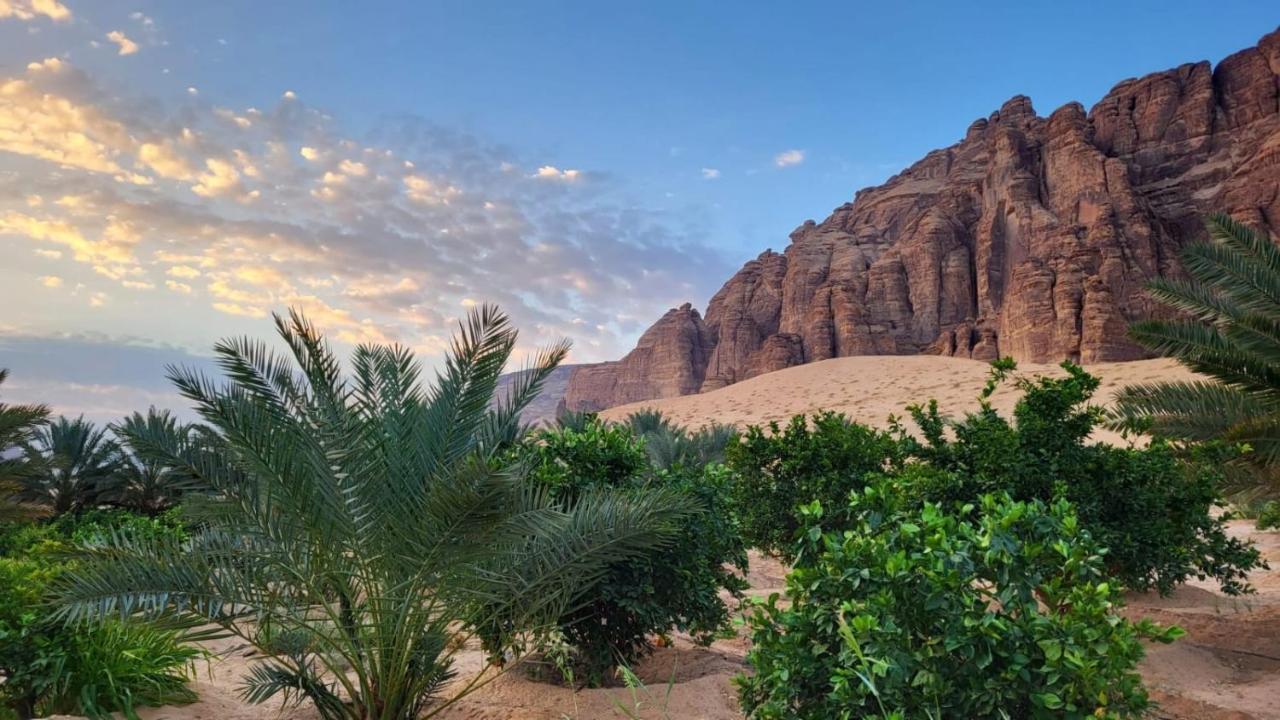 Vila الجوهرة Diamond Plus Al Ula Exteriér fotografie