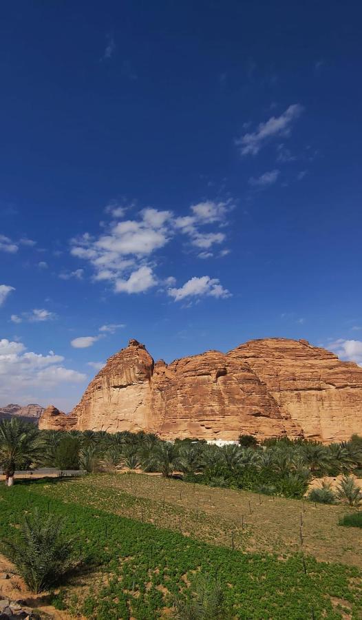 Vila الجوهرة Diamond Plus Al Ula Exteriér fotografie
