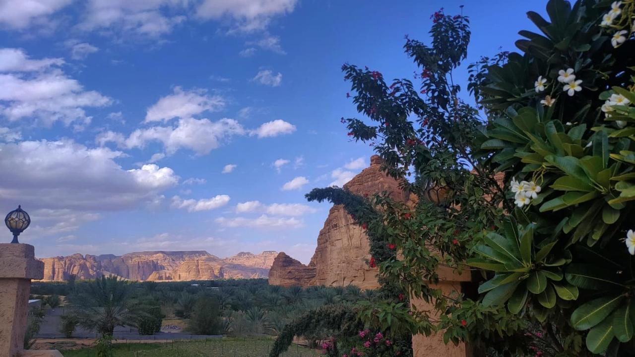 Vila الجوهرة Diamond Plus Al Ula Exteriér fotografie