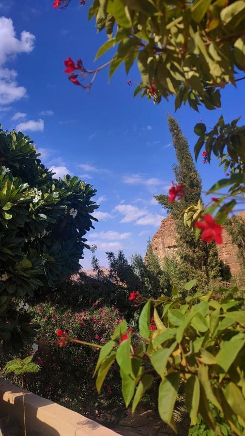 Vila الجوهرة Diamond Plus Al Ula Exteriér fotografie