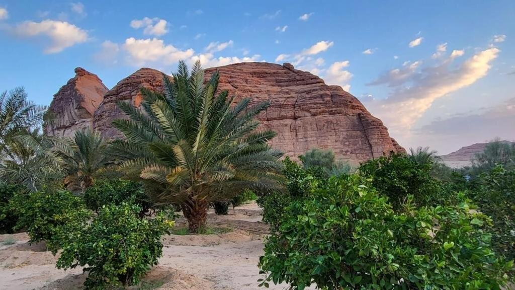 Vila الجوهرة Diamond Plus Al Ula Exteriér fotografie