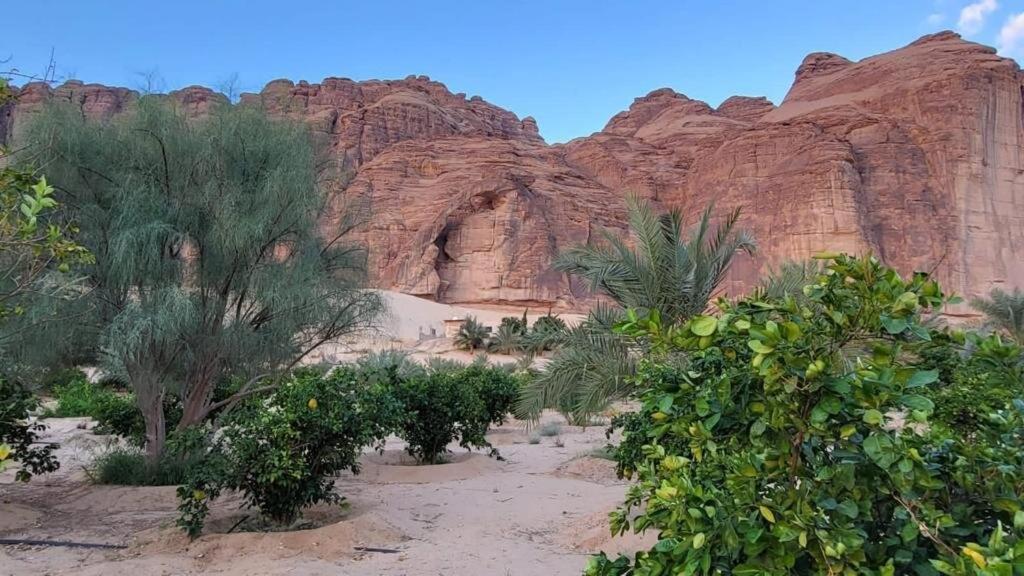 Vila الجوهرة Diamond Plus Al Ula Exteriér fotografie