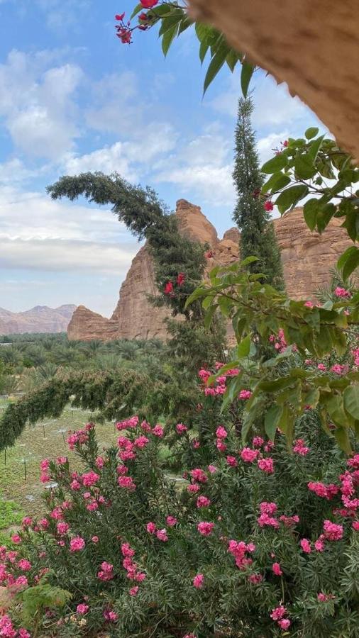 Vila الجوهرة Diamond Plus Al Ula Exteriér fotografie