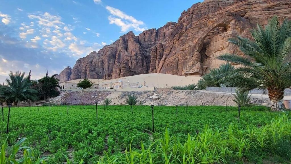 Vila الجوهرة Diamond Plus Al Ula Exteriér fotografie